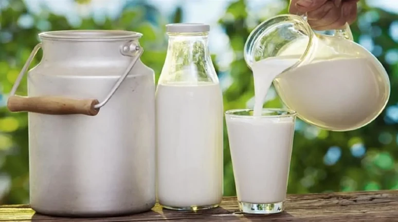 Sağlık İçin İçiyoruz Sandık, Meğer Mikrop Yuvasıymış! Çiğ Süt Gerçeği Ortaya Çıktı