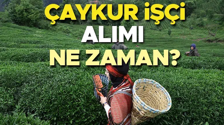 ÇAYKUR işçi alımı başvurusu 2026 son durum | Çaykur işçi alımı başvuru tarihi belli oldu mu, hangi fabrikaya kaç kişi alınacak? Çaykur mevsimlik işçi alımları başladı mı? Gözler takvim açıklamasında!