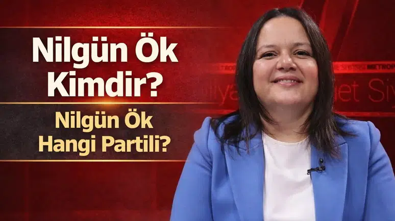 Nilgün Ök Kimdir, Hangi Partili?