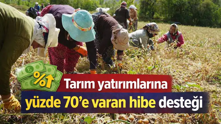 Tarım yatırımlarına yüzde 70'e varan hibe desteği
