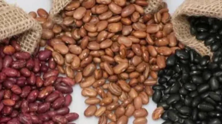 100 yaşın sırrı o tabakta gizli: Uzmanından ömür uzatan beslenme tüyosu