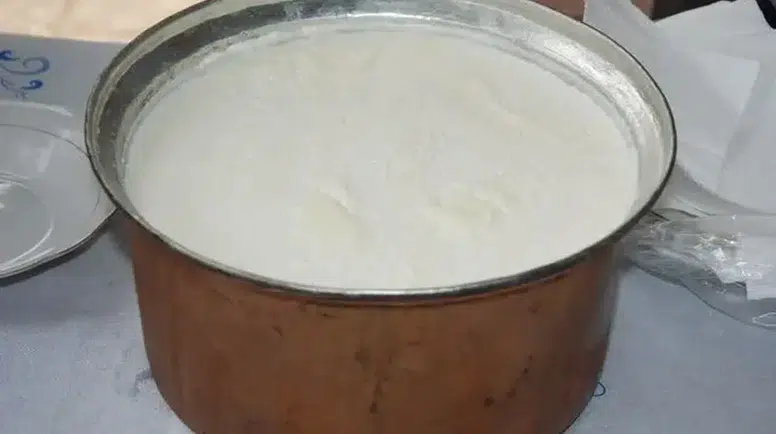 Rüyada Yoğurt Görmek, Yemek, Mayalamak Ne Anlama Gelir, Neye İşarettir?