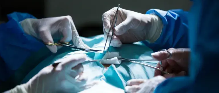 ilik-nakli-nasil-olur