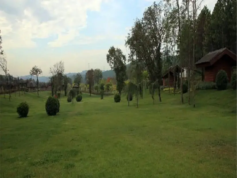 kemerburgaz-kent-ormani