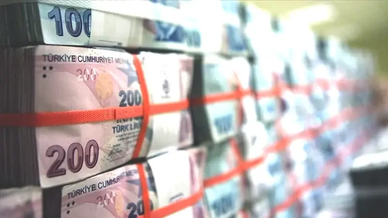 Her ay 2000 TL'ye yakın geliyor! Destek almak isteyenler baksın - Resim: 20