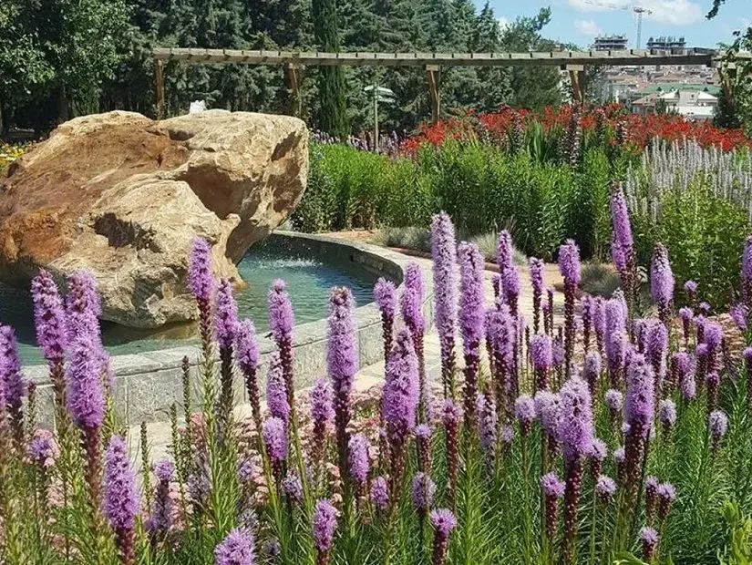 Nezahat Gökyiğit Botanik Bahçesi iç görünümü