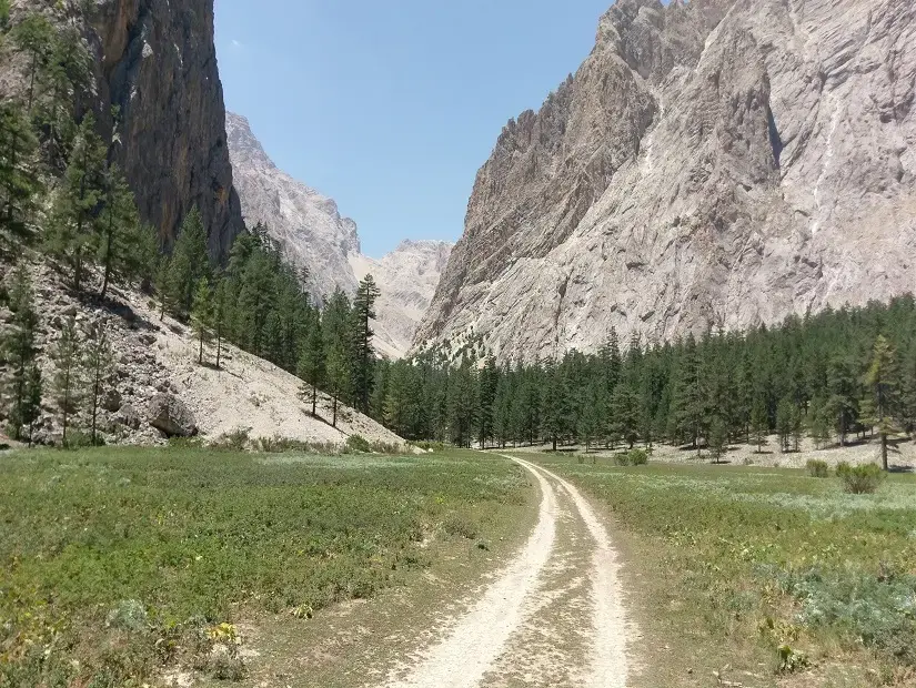 Hacer Ormanı görünümü