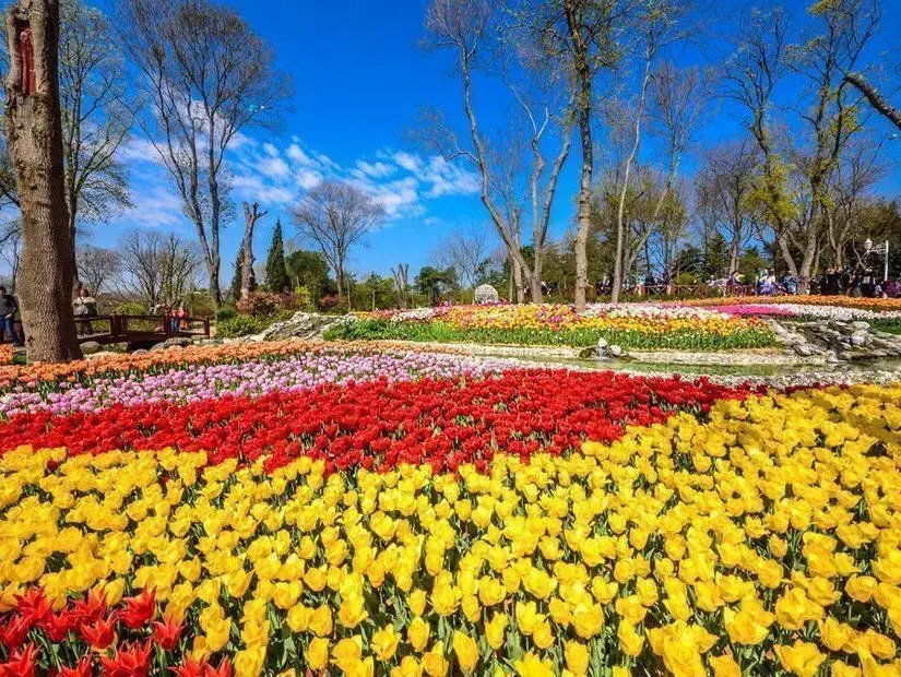 Emirgan Korusu renkli çiçekler görünümü